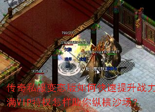 ����˽����̬����ο�������ս������VIP��Ȩ���������ݺ�ɳ����