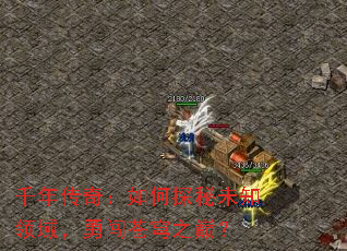 ǧ�괫�棺���̽��δ֪�����´����֮�ۣ�