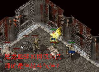 ħ��Ѫ����γ�Ϊ��ʦ�����ս����飿