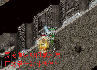 ħ��Ѫ����γ�Ϊ��ʦ�����ս����飿