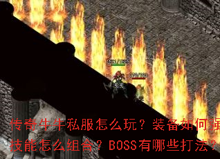 ����ţţ˽����ô�棿װ�����ǿ����������ô��ϣ�BOSS����Щ�򷨣�