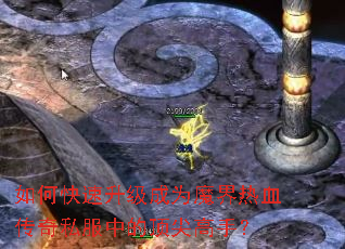 如何快速升级成为魔界热血传奇私服中的顶尖高手? 如何快速升级成为魔界热血传奇私服中的顶尖高手?