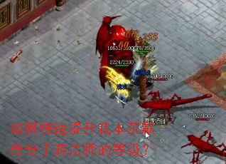 ��ο��������ұ���Ĭ�������η�ʦ�ĵȼ���