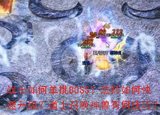 战士如何单挑BOSS?法师如何快速升级?道士召唤神兽有何技巧? 战士如何单挑BOSS?法师如何快速升级?道士召唤神兽有何技巧?