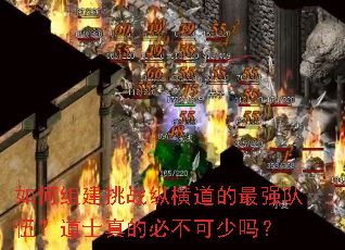 如何组建挑战纵横道的最强队伍?道士真的必不可少吗? 如何组建挑战纵横道的最强队伍?道士真的必不可少吗?
