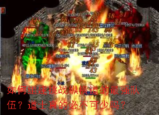 如何组建挑战纵横道的最强队伍?道士真的必不可少吗? 如何组建挑战纵横道的最强队伍?道士真的必不可少吗?