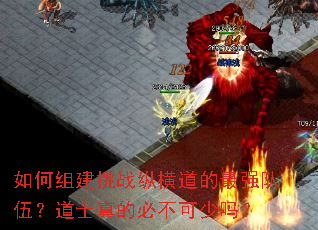 如何组建挑战纵横道的最强队伍?道士真的必不可少吗? 如何组建挑战纵横道的最强队伍?道士真的必不可少吗?