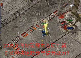 2026�괫��˽����ô�棿������ο�����������ս����