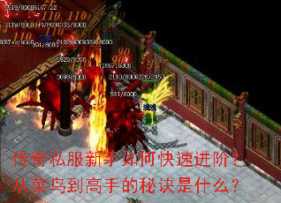 传奇私服新手如何快速进阶?从菜鸟到高手的秘诀是什么? 传奇私服新手如何快速进阶?从菜鸟到高手的秘诀是什么?