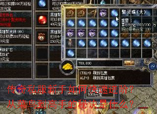 传奇私服新手如何快速进阶?从菜鸟到高手的秘诀是什么? 传奇私服新手如何快速进阶?从菜鸟到高手的秘诀是什么?