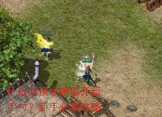什么时候才能离开新手村?新手必看攻略 什么时候才能离开新手村?新手必看攻略