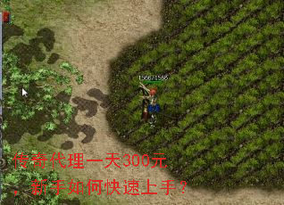 传奇代理一天300元,新手如何快速上手? 传奇代理一天300元,新手如何快速上手?