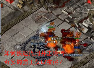 如何快速找到并击败传奇多钩猫王获取宝藏? 如何快速找到并击败传奇多钩猫王获取宝藏?
