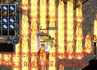 传奇3法师宝宝升级与哪些因素有关?如何快速提升宝宝等级? 传奇3法师宝宝升级与哪些因素有关?如何快速提升宝宝等级?