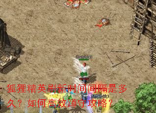 狐狸精英刷新时间间隔是多久?如何高效蹲守攻略? 狐狸精英刷新时间间隔是多久?如何高效蹲守攻略?