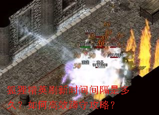 狐狸精英刷新时间间隔是多久?如何高效蹲守攻略? 狐狸精英刷新时间间隔是多久?如何高效蹲守攻略?