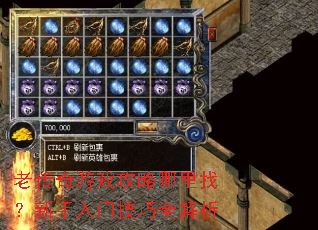 老传奇游戏攻略哪里找?新手入门技巧全解析 老传奇游戏攻略哪里找?新手入门技巧全解析