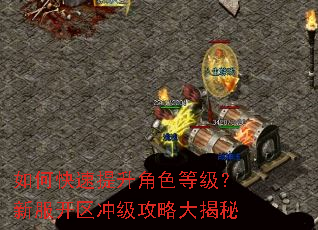 如何快速提升角色等级?新服开区冲级攻略大揭秘 如何快速提升角色等级?新服开区冲级攻略大揭秘