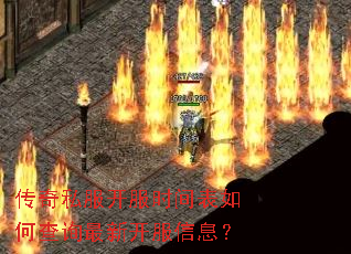 ����˽������ʱ�����β�ѯ���¿�����Ϣ��