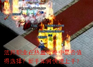 ��ʦְҵ����Ѫ�������Ƿ�ֵ��ѡ��������ο������֣�
