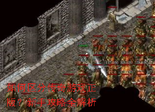 如何区分传奇游戏正版?新手攻略全解析 如何区分传奇游戏正版?新手攻略全解析