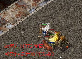 如何在11773传奇网快速提升角色等级? 如何在11773传奇网快速提升角色等级?