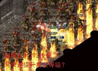 如何在11773传奇网快速提升角色等级? 如何在11773传奇网快速提升角色等级?