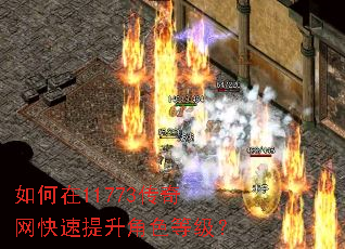 如何在11773传奇网快速提升角色等级? 如何在11773传奇网快速提升角色等级?