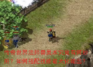 传奇世界法师兽灵术究竟有何妙用?如何搭配技能最大化输出? 传奇世界法师兽灵术究竟有何妙用?如何搭配技能最大化输出?