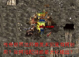 传奇世界法师兽灵术究竟有何妙用?如何搭配技能最大化输出? 传奇世界法师兽灵术究竟有何妙用?如何搭配技能最大化输出?