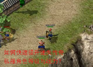如何快速提升迷失传奇私服角色等级与战力? 如何快速提升迷失传奇私服角色等级与战力?