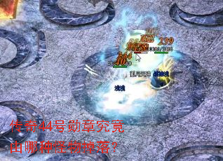 传奇44号勋章究竟由哪种怪物掉落? 传奇44号勋章究竟由哪种怪物掉落?