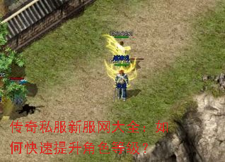 传奇私服新服网大全:如何快速提升角色等级? 传奇私服新服网大全:如何快速提升角色等级?