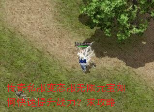 传奇私服变态服无限元宝如何快速提升战力?求攻略 传奇私服变态服无限元宝如何快速提升战力?求攻略