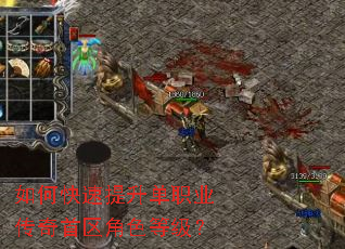 如何快速提升单职业传奇首区角色等级? 如何快速提升单职业传奇首区角色等级?