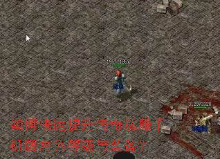如何快速提升传奇私服手机版角色等级与装备? 如何快速提升传奇私服手机版角色等级与装备?