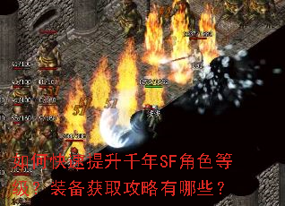 ��ο�������ǧ��SF��ɫ�ȼ���װ����ȡ��������Щ��
