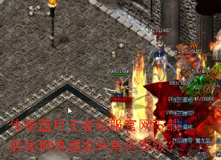 传奇蓝月王者私服官网下载后如何快速提升角色等级? 传奇蓝月王者私服官网下载后如何快速提升角色等级?