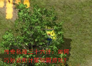 传奇私服三十六计:如何巧妙运用计策制霸游戏? 传奇私服三十六计:如何巧妙运用计策制霸游戏?