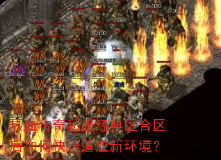 热血传奇私服经典区合区后如何快速适应新环境? 热血传奇私服经典区合区后如何快速适应新环境?