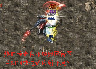 热血传奇私服经典区合区后如何快速适应新环境? 热血传奇私服经典区合区后如何快速适应新环境?