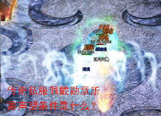 传奇私服佩戴勋章所需声望条件是什么? 传奇私服佩戴勋章所需声望条件是什么?