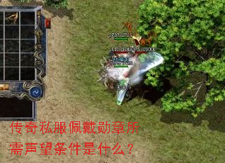 传奇私服佩戴勋章所需声望条件是什么? 传奇私服佩戴勋章所需声望条件是什么?