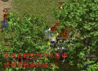 如何在超变传奇私服中快速提升角色战力? 如何在超变传奇私服中快速提升角色战力?