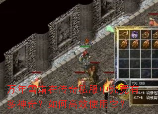 万年雪霜在传奇私服中究竟有多神奇?如何高效使用它? 万年雪霜在传奇私服中究竟有多神奇?如何高效使用它?