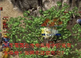 万年雪霜在传奇私服中究竟有多神奇?如何高效使用它? 万年雪霜在传奇私服中究竟有多神奇?如何高效使用它?