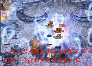 传奇世界法师九级宝宝如何获取与培养?技能和实战效果怎么样? 传奇世界法师九级宝宝如何获取与培养?技能和实战效果怎么样?