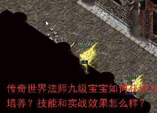传奇世界法师九级宝宝如何获取与培养?技能和实战效果怎么样? 传奇世界法师九级宝宝如何获取与培养?技能和实战效果怎么样?