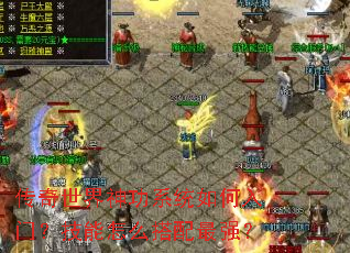 传奇世界神功系统如何入门?技能怎么搭配最强? 传奇世界神功系统如何入门?技能怎么搭配最强?