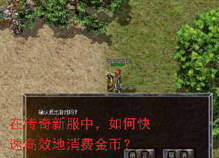 在传奇新服中,如何快速高效地消费金币? 在传奇新服中,如何快速高效地消费金币?